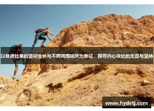 以曼德拉草的坚韧生长与不顾周围啼哭为象征，探寻内心深处的无畏与坚持