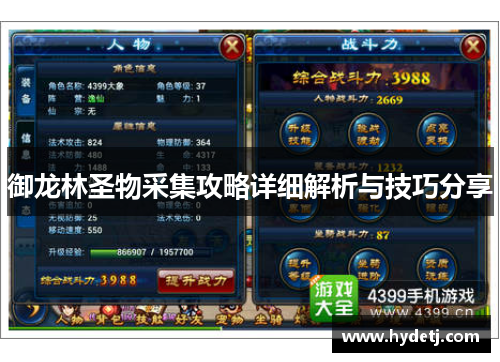 御龙林圣物采集攻略详细解析与技巧分享