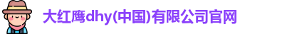 大红鹰dhy